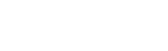 The DeNunzio Group